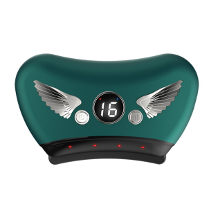 Wing-Shaped Heated Bian Stone Electric Gua Sha Massager for Face, Neck & Body